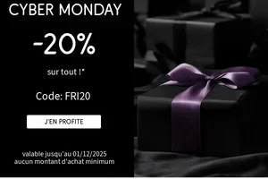 Dernier jour : 20% de réduction ⏳