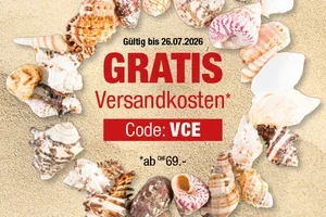 👞 LAST CALL: GRATIS Versandkosten & FINAL SALE endet