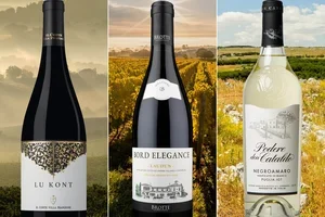 Trois grands vins, à moitié prix – aujourd’hui seulement! 🍷