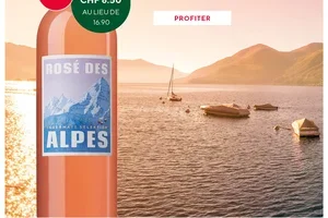 Un rosé estival à moitié prix – Aujourd’hui seulement!