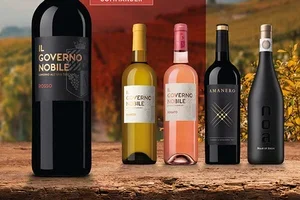 Vos coups de cœur de l'automne: les favoris des clients et de nouvelles découvertes🍇