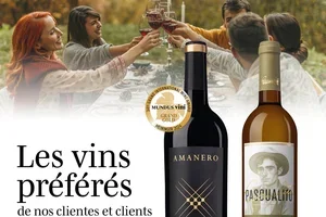 Les vins préférés de notre clientèle en 2026 – découvrez-les et profitez de nos offres 🍷