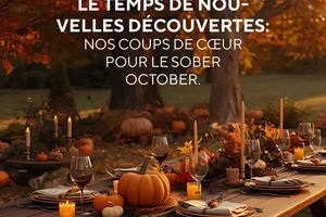 Le moment de faire de nouvelles découvertes: nos coups de cœur pour Sober October