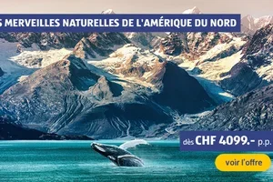 Chère Marie, les nouvelles offres sont disponibles!