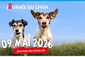 9 mai: Journée du chien 🐕