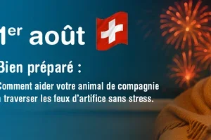 Feux d’artifice en vue ? Préparez-vous dès maintenant 🎇