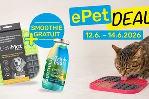 Seulement jusqu’à dimanche : un smoothie offert avec votre LickiMat 🎁