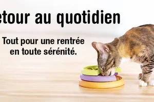 De retour au quotidien – tout pour une reprise en douceur