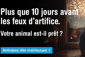Plus que quelques jours avant le 1er août