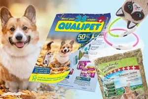Jusqu’à 50% de réduction sur les articles animaliers 🐾