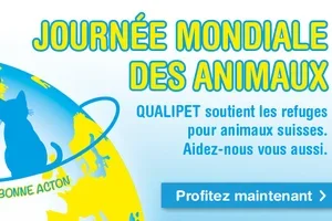 10% de réduction pour la Journée mondiale des animaux 🐾