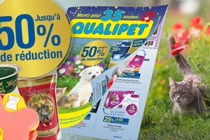 Plus que quelques jours : jusqu’à 50% de réduction
