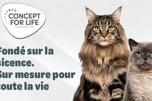 Parce que chaque chat est unique