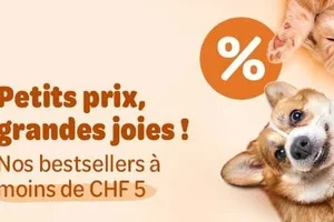  Découvrez nos prix bas au quotidien !