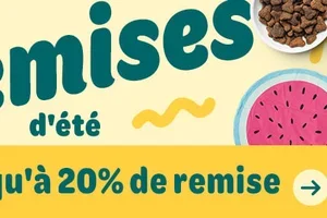  Nous clôturons bientôt notre vente estivale !