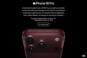 Bonjour Monsieur Duck, découvrez nos Fust-Deals