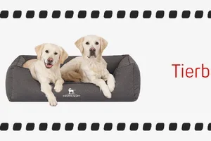 Black Weekend: -40% auf ALLES*! Nur für kurze Zeit.