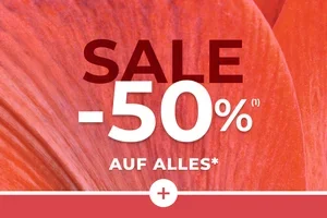 ⏳ Letzte Tage im Sale