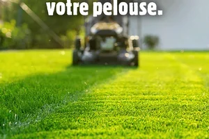 Réparer une pelouse? 🌱💧 Idéalement avant la première gelée!