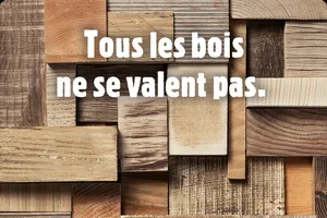 Savez-vous quel bois convient le mieux?  🪵