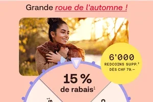 🎡 Avez-vous déjà fait tourner notre grande roue de l'automne ?