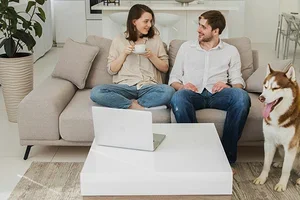 Pour vous : les pays à visiter en 2026 | Comparatif animaux | Vignette auto | 10 conseils santé