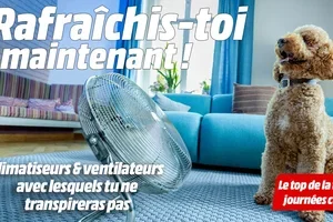 ❄️ Rafraîchis-toi dès maintenant avec nos meilleurs produits technologiques