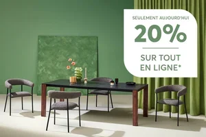 ⏳ Aujourd'hui seulement : 20% de rabais sur tout en ligne