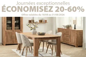 Laissez entrer l'esprit scandinave chez vous grâce aux journées exceptionnelles