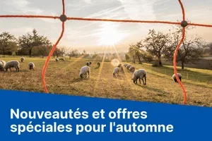 Le nouveau catalogue d'automne : découvrez les nouveautés et les offres