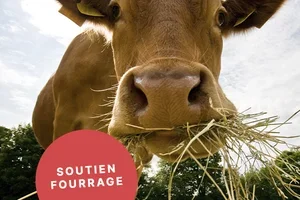Nouveautés pour la ferme, l’écurie & les animaux 🌾