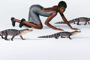 Gator Run: découvre la nouvelle génération Low Profile