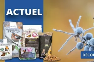 👉 Économiser maintenant : Les actions sont valables jusqu'au 30 novembre 2025