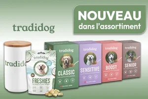 Pourquoi mon chien a-t-il toujours les yeux qui coulent ? 🐶😢