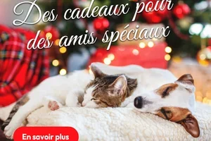 Des cadeaux pour des amis spéciaux 💝