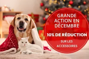 👉 Économiser maintenant : Les actions sont valables jusqu'au 31 décembre 2025