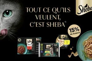 Bienvenue dans la nouvelle année : des offres exceptionnelles !