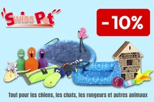 Découvrez nos promotions du mois de juin 🐾