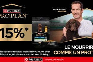 Découvrez nos promotions d’août 🌻