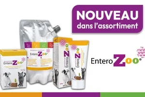 ✨ Nouveau dans notre gamme : découvrez les nouveautés de nos marques 🐶🐱