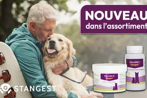 ✨ Nouveau dans notre gamme : découvrez les nouveautés de nos marques 🐶🐱