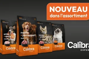 ✨ Nouveau dans notre gamme : découvrez les nouveautés de nos marques 🐶🐱