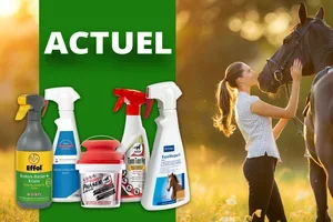 👉 Économiser maintenant : Les actions sont valables jusqu'au 31 mai 2026