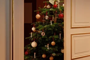 Christmas before Christmas! Entdecke Weihnachten by Westwing Collection