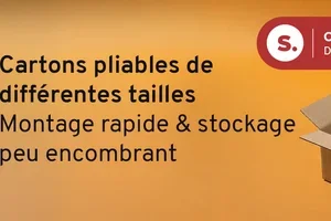 🎃 Vos offres du mois d’octobre, Madame Duck