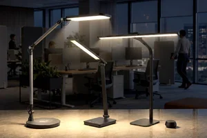 💡 Journées plus sombres ? Faites place à la lumière pour mieux vous concentrer, Madame Duck