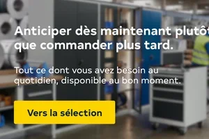 📌 Avez-vous tout ce dont vous avez besoin, Madame Duck?