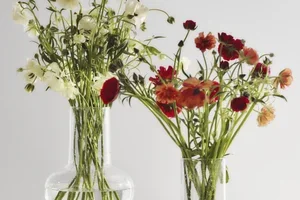 Flowers in focus