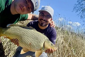 Carpes de plein été : tactique, cannes, moulinets & confort au poste