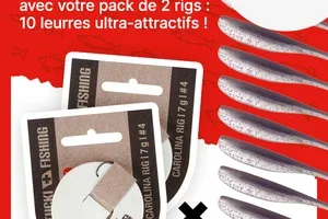 🇨🇭 Action du 1er août : 50 % de réduction sur le combo Stucki !